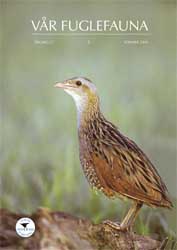Vår Fuglefauna - 2004-2, årgang 27
