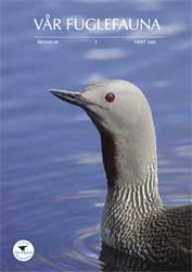 Vår Fuglefauna - 2005-3, årgang 28