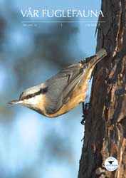 Vår Fuglefauna - 2006-1, årgang 29