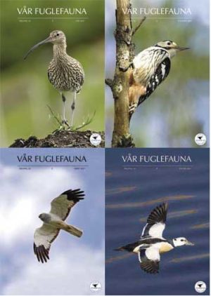 Vår Fuglefauna - 2007- hele årgang 30