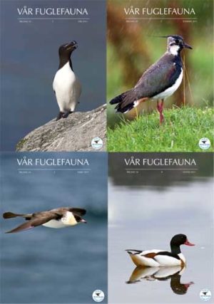 Vår Fuglefauna - 2011- hele årgang 34