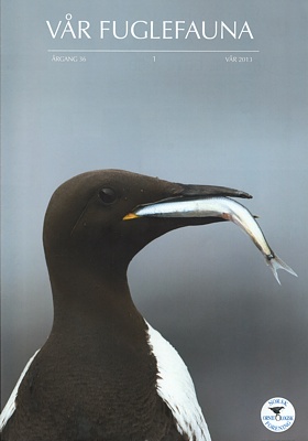 Vår Fuglefauna - 2013-1, årgang 36