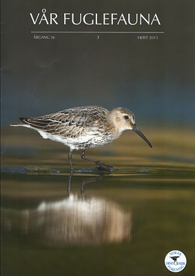 Vår Fuglefauna - 2013-3, årgang 36