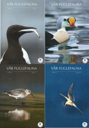 Vår Fuglefauna - 2013- hele årgang 36