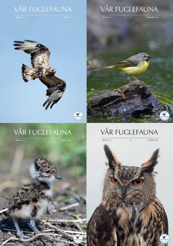 Vår Fuglefauna - 2014- hele årgang 37