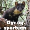 Dyr og Sportegn