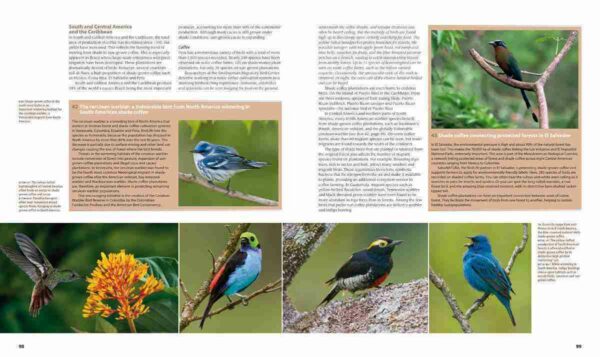 Farmland Birds across the World