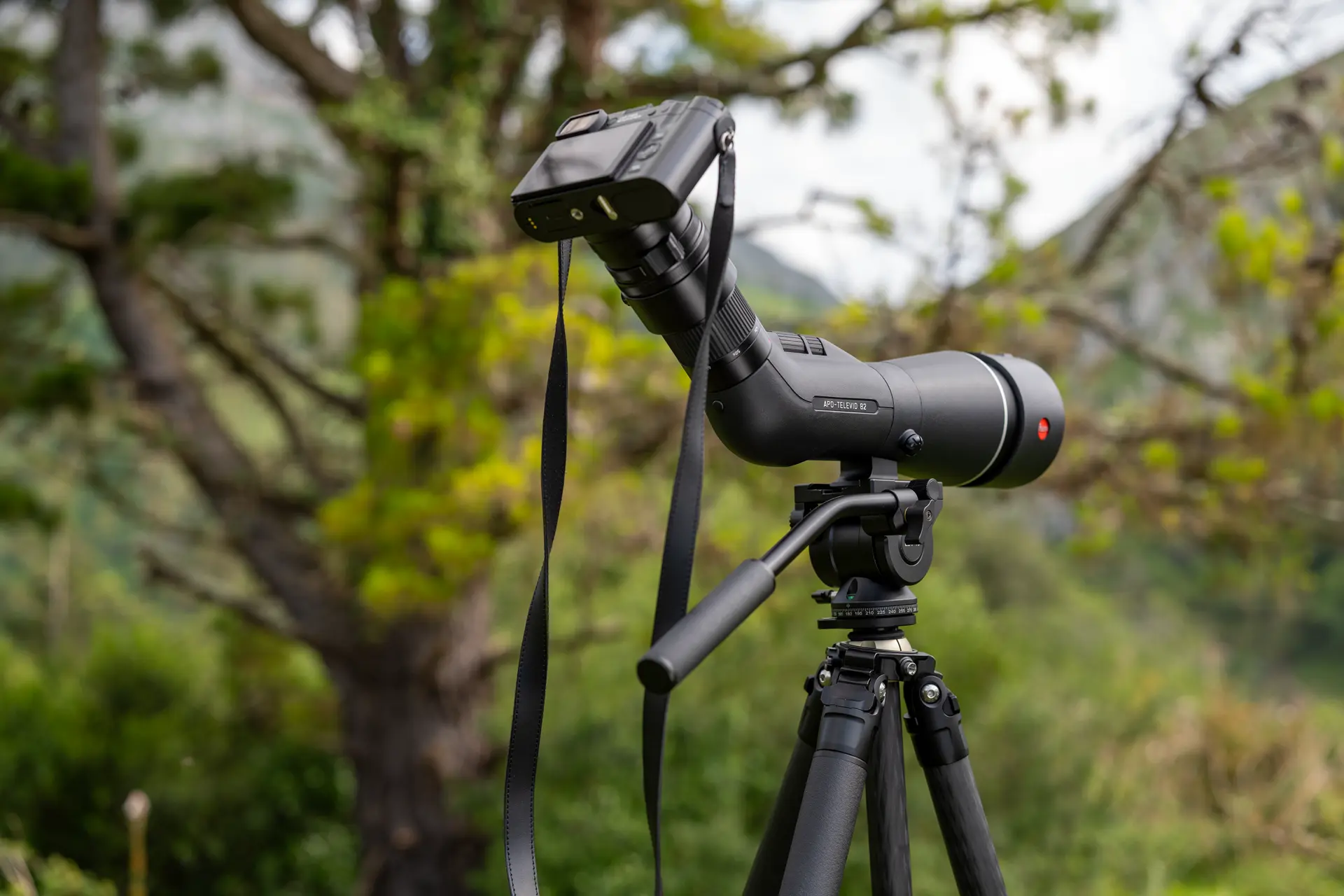 APO-Televid-82_digiscoping