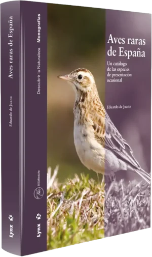 Aves raras de España