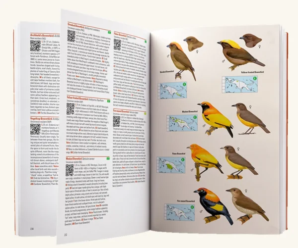 Birds of New Guinea