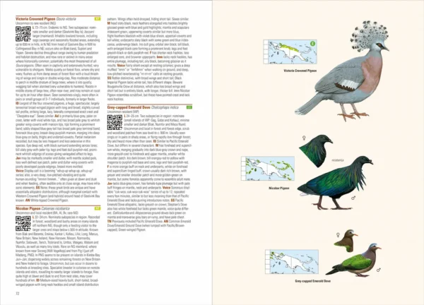 Birds of New Guinea - 2nd Edition
