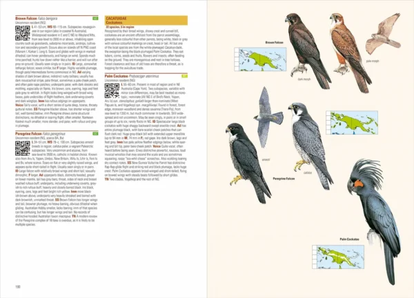 Birds of New Guinea - 2nd Edition