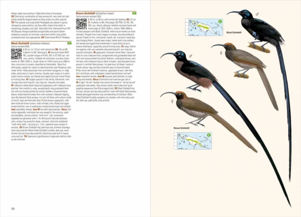 Birds of New Guinea - 2nd Edition