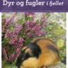 Dyr og fugler i fjellet