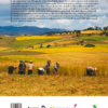Farmland Birds across the World