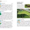 Field Guide to the Caterpillars of Great Britain and Ireland
