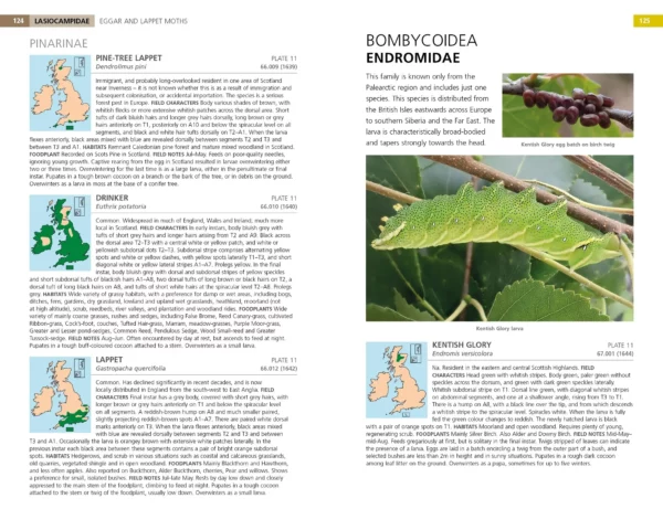 Field Guide to the Caterpillars of Great Britain and Ireland