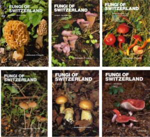 Fungi of Switzerland vol.1-6 set