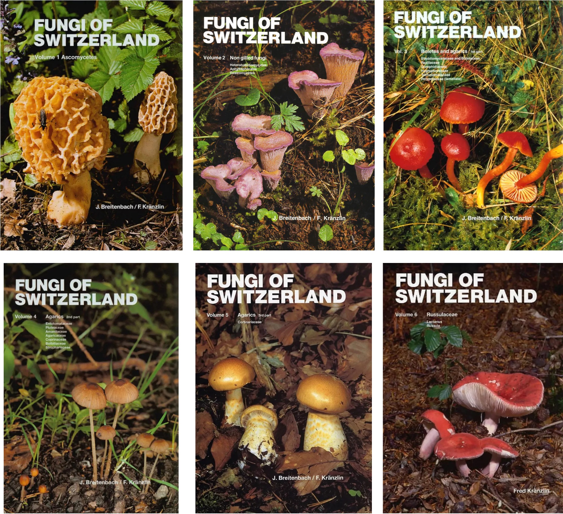 Fungi of Switzerland vol.1-6 set