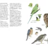 Guide to Garden Wildlife