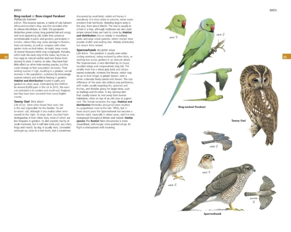 Guide to Garden Wildlife