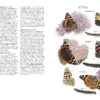 Guide to Garden Wildlife