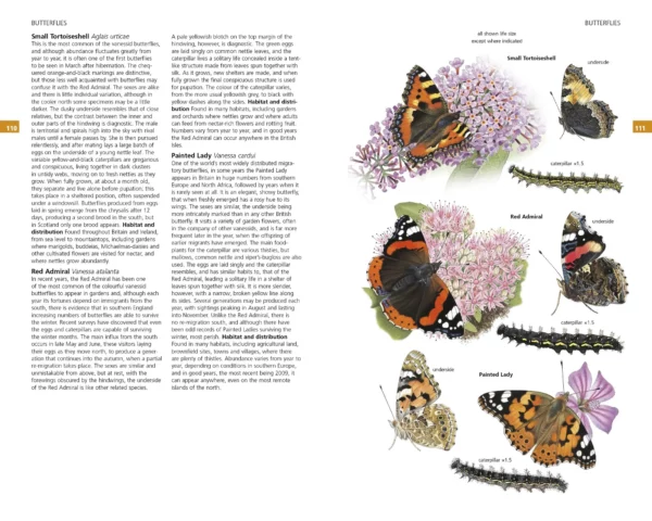 Guide to Garden Wildlife