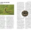 Guide to Garden Wildlife