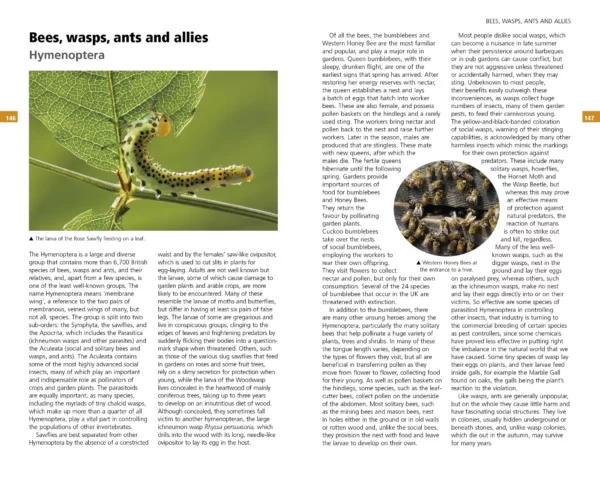 Guide to Garden Wildlife