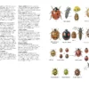 Guide to Garden Wildlife