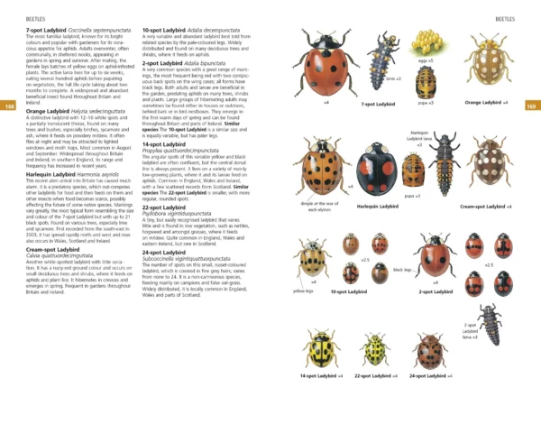 Guide to Garden Wildlife