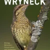 The Wryneck