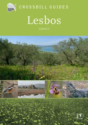Crossbill Guides Lesbos