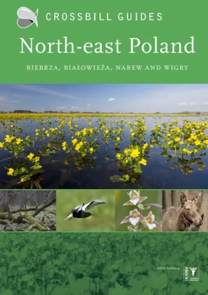 Crossbill Guides North-east Poland