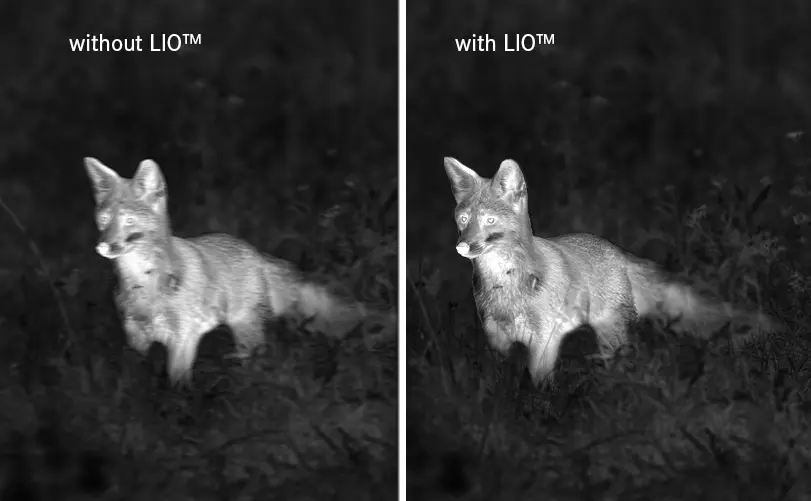 Leica Calonox 2 View