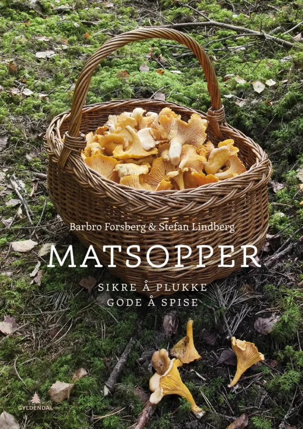 Matsopper