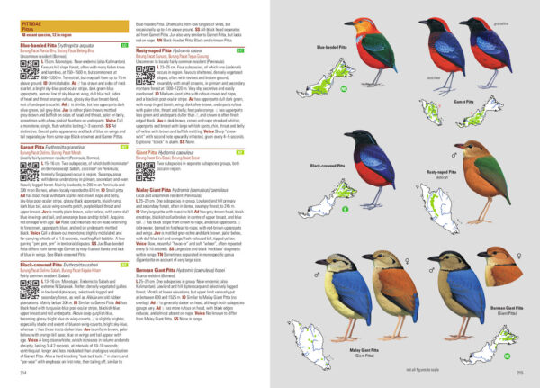 Birds of Malaysia - Heftet