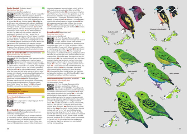Birds of Malaysia - Heftet