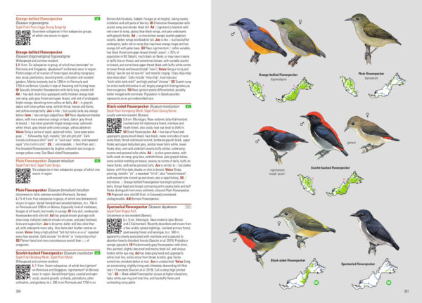Birds of Malaysia - Heftet