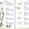 Field Guide to the Birds of Chile - Helm Field Guides - Heftet