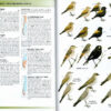 Field Guide to the Birds of Chile - Helm Field Guides - Innbundet