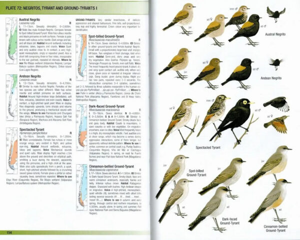 Field Guide to the Birds of Chile - Helm Field Guides - Innbundet