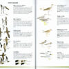 Field Guide to the Birds of Chile - Helm Field Guides - Innbundet