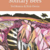 Solitary bees