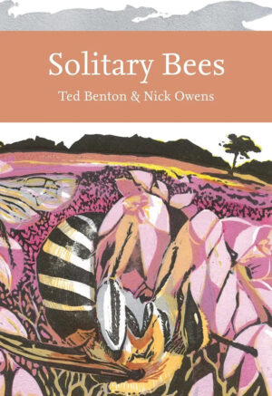 Solitary bees