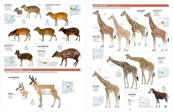 All the Mammals of the World