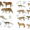 All the Mammals of the World