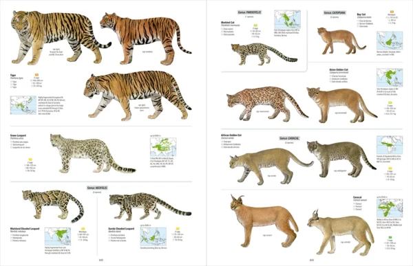 All the Mammals of the World