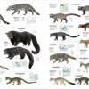 All the Mammals of the World