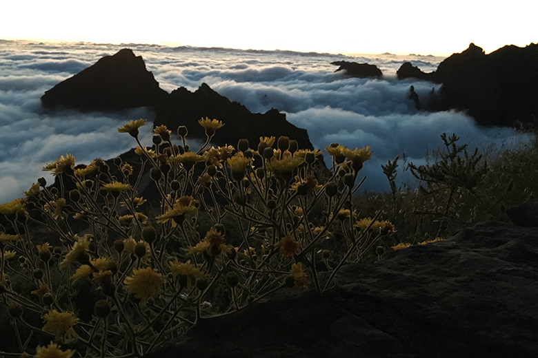 Solnedgang over tåka, Pico de Ariero. Foto: Morten Bergan ©